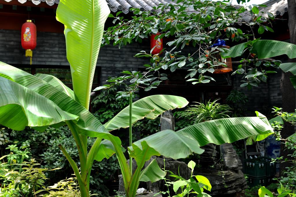 北京 Red Lantern Houseホステル エクステリア 写真